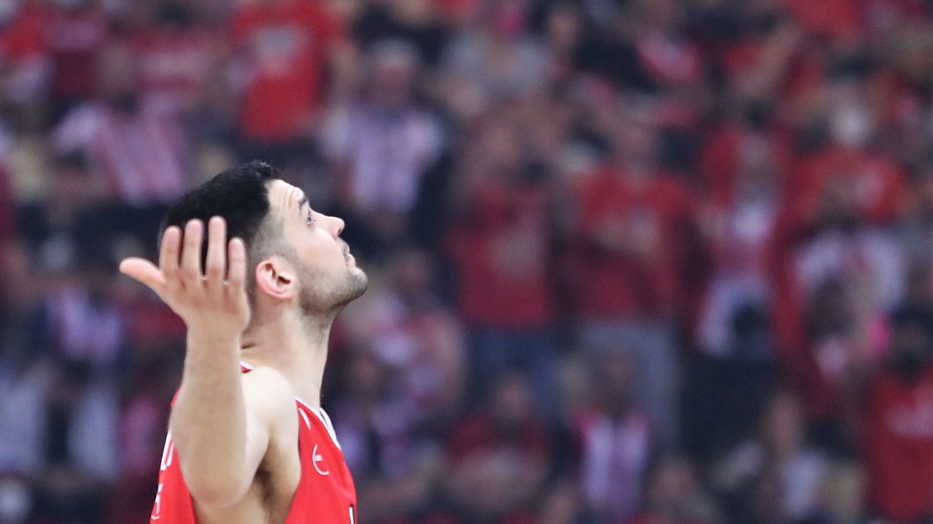 SOLD OUT !!! ????????????????